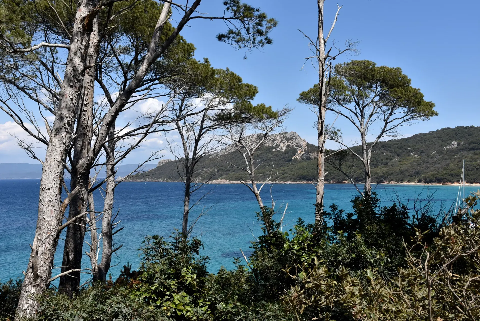 Türkisfarbenes Wasser und Küste bei Porquerolles