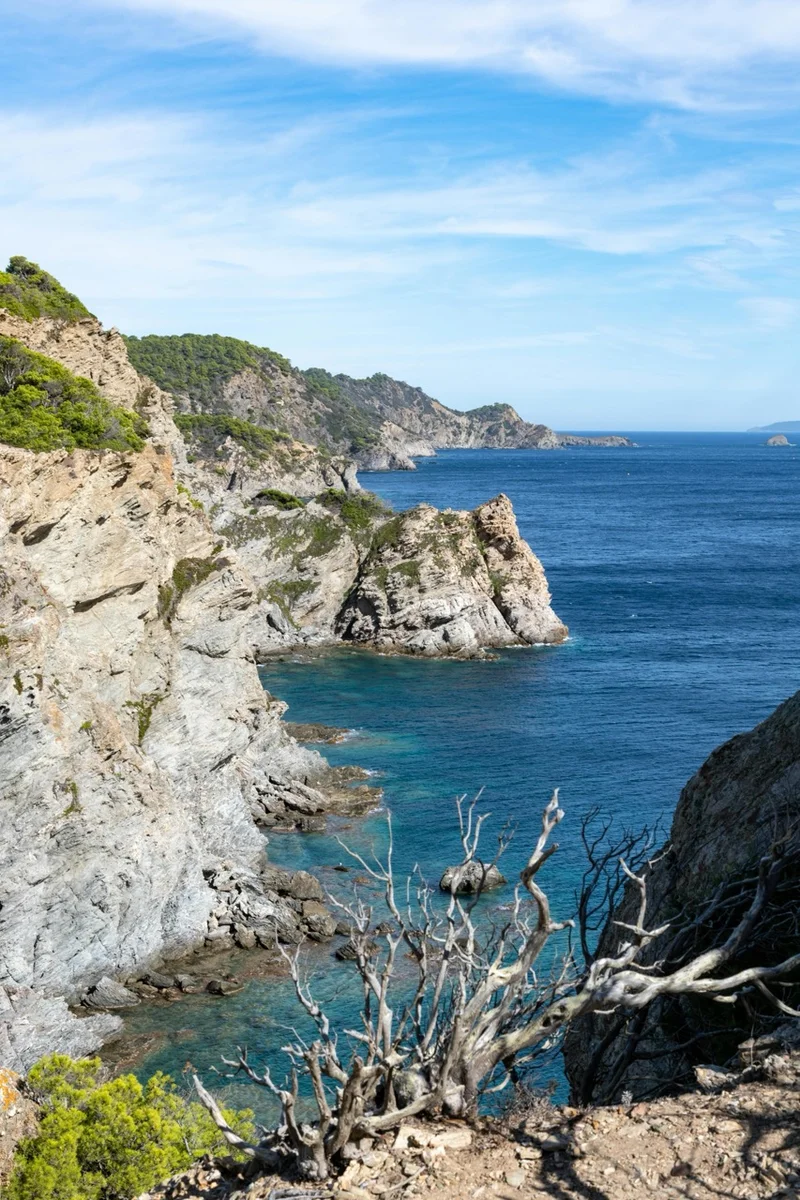 Bild von Gard du Giens 4